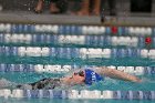 Swim vs Bentley  Wheaton College Swimming & Diving vs Bentley University. - Photo by Keith Nordstrom : Wheaton, Swimming & Diving